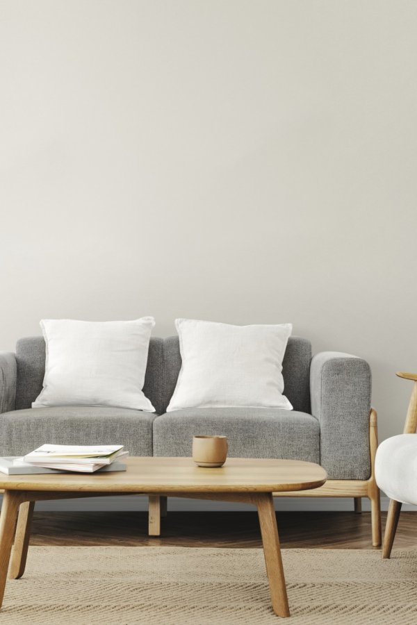 Living room scandinavian interior